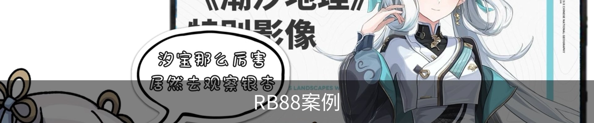 RB88案例